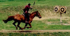 reiten1.jpg (5752 Byte)